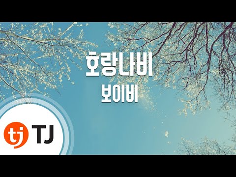 [TJ노래방] 호랑나비 - 보이비(Boi B) / TJ Karaoke