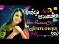 ශෂිකා නිසංසලා සන්ෆ්ලවර් සමග Shashika Nisansala With 