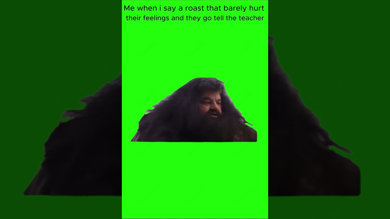Hagrid should not have said that meme