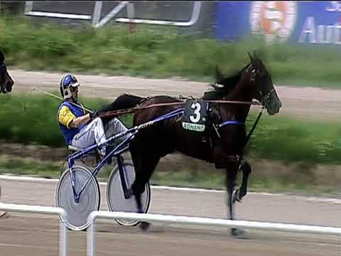 Trotto 06/06/2019 - 1ª corsa