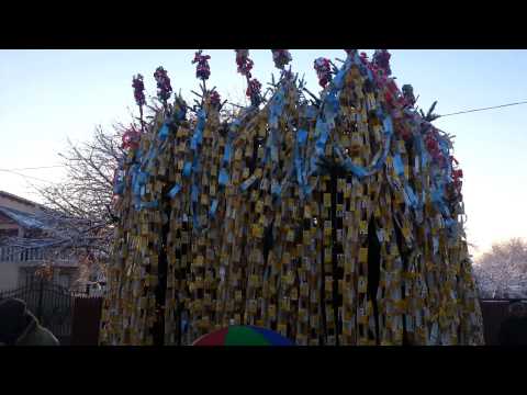 plug Vadu-Parului 2015 (1)