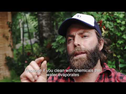 Green Cleaning Alpin Juwel