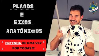 Planos e Eixos Anatômicos | WEBVET