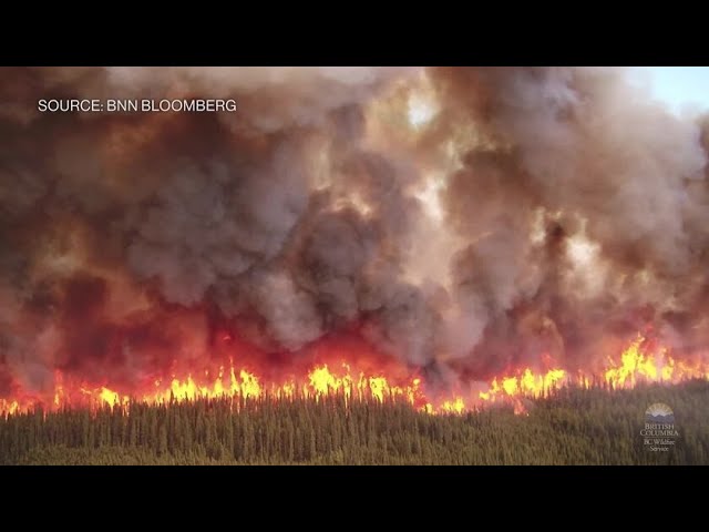 Raging Wildfires Burn Across Canada Sending Smoke Down to the US