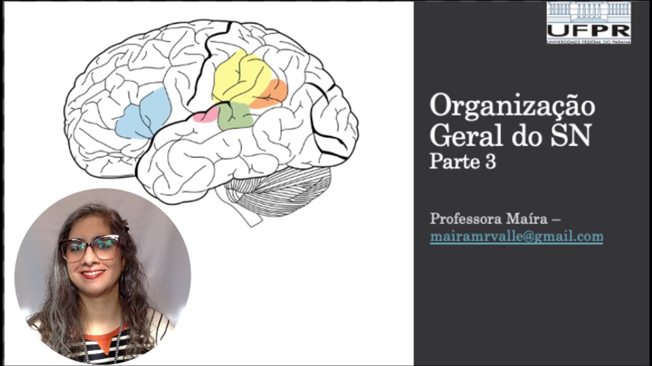 Aula 1 - Organização geral do Sistema nervoso (parte 3)