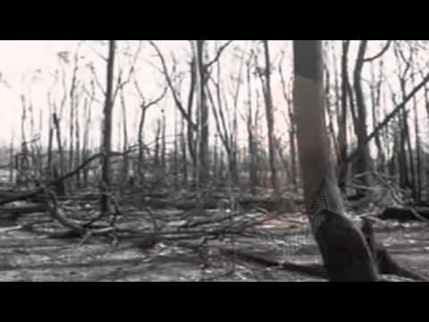 The Wind to Remember