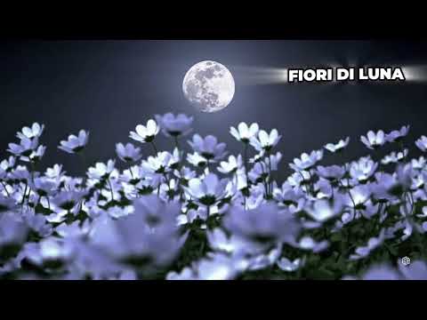 Fiori di luna