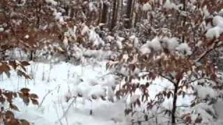 Eine kleine Marschmusik