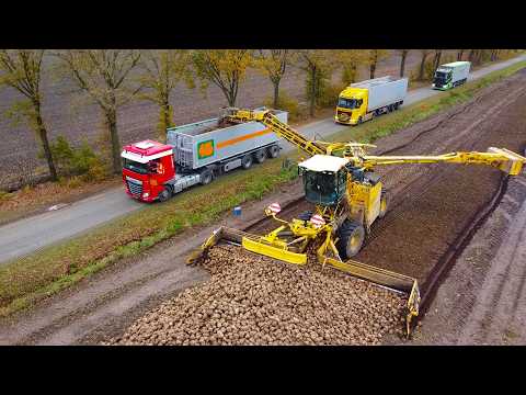 Ropa Maus loading sugar beet