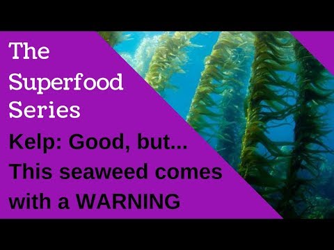 Kelp the Superfood Seaweed, Benefits and Dangers