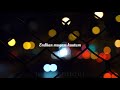 Nanbiye Teddy Whatsapp Status Lyrics Anirudh Ravichander D Imman Arya Sayyeshaa
