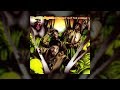 Jungle Brothers | Straight out the Jungle (FULL ALBUM) [HQ]