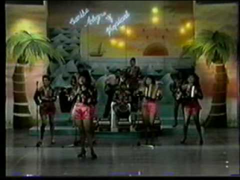 AMANTE PERFECTA - LAS MUSAS DEL VALLENATO