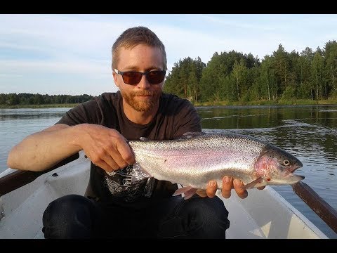 Toutaimen ja kirjolohen kalastusta / Fishing for asp and rainbow trout