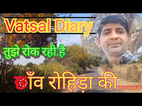 Rohida..... वालीं सड़क//VATSAL diary//Vlog