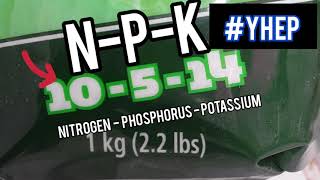 Thumbnail for video: Build Guide