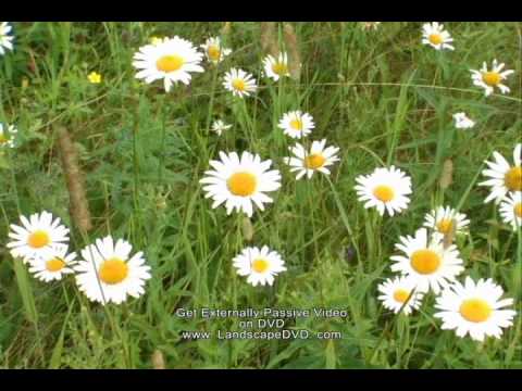 Champion of Love- Heritage Singers.wmv