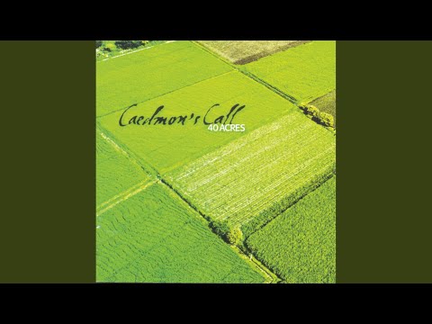 Thumbnail for Shifting Sand video