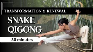 Snake Qigong for Beginners & Advanced Variation | Mindful Transformation for a Brand New You