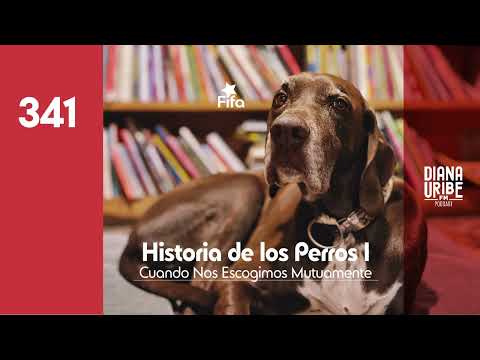 History of Dogs I: When We Chose Each Other