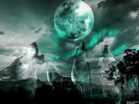 BiG WoLF Ft Baci's - Ku MeTën-MiX