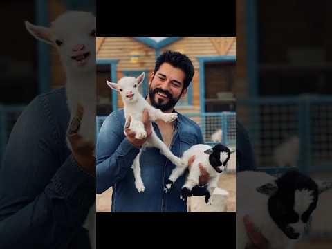 Kurulus Osman season 6 behind the scenes 😂🥰#kurulusosman #behindthescene #freepalestine