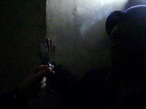 Bush Chemist, Kenny Knots, Culture Freeman, Chazbo