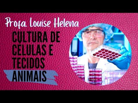 Cultura de células e tecidos animais - Profa. Louise Helena