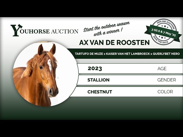 Ax van de Roosten