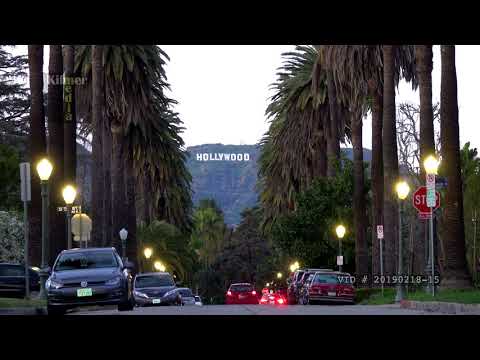 Hollywood Sign Down a Palm Tree Lined Street in the Early Evening