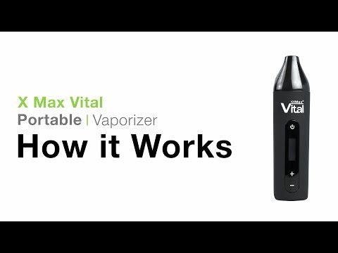 X MAX Vital Tutorial