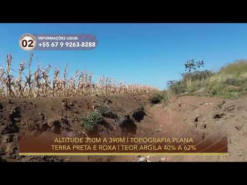 Terralmo 2: Fazenda à venda em Bela Vista/MS