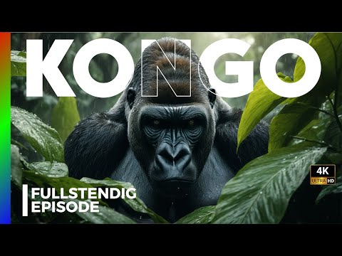 VILLE KONGO: KAMPEN FOR Å OVERLEVE I AFRIKAS HJERTE