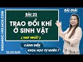 Khoa học tự nhiên 7 Cánh diều Bài 23: Trao đổi khí ở sinh vật - Trang 107, 111 - Giải KHTN