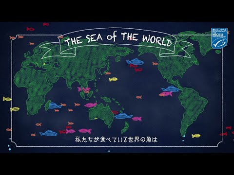 海洋管理評議会 (MSC) の 20 年