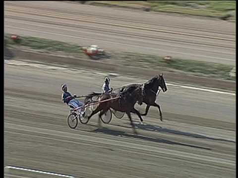 Trotto 07/05/2017 - prova di qualifica