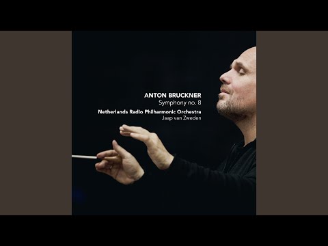 Symphony No. 8 in C Minor: II. Scherzo (Allegro moderato)