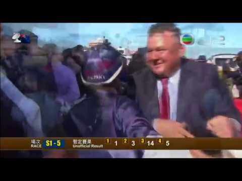 2016 Blue Diamond Stakes G1 - Extreme Choice (極選) - C.Newitt