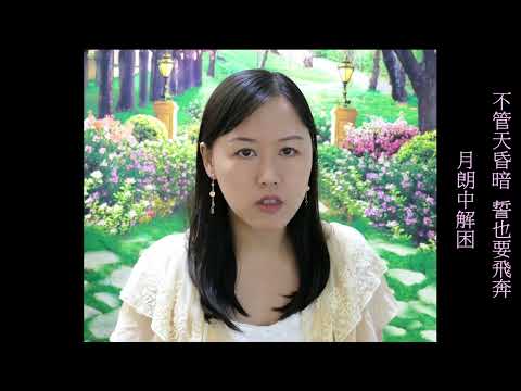 天涯 - 艾美 Tianya