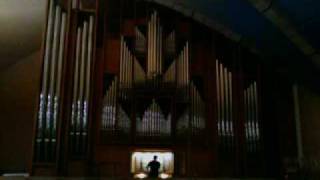 J.S. Bach - Fantasy in G Minor. Carlo Barile on Pinchi Organ