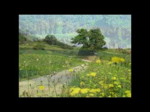 Camino del Norte 2012 Teil 1/2