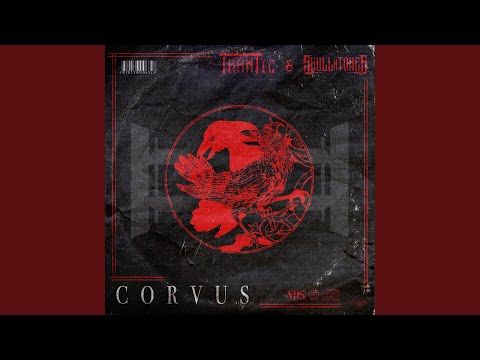 Corvus