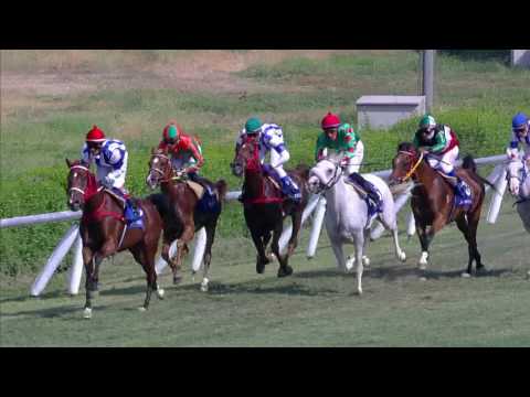 Carrera Árabe Shadwell 3° Dubai International Arabian Races Stakes(Romulo).mpg