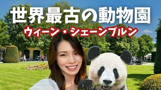 【ウィーン観光】シェーンブルン動物園vlog