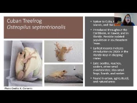 侵略的種: エピソード 04 – 侵略的動物