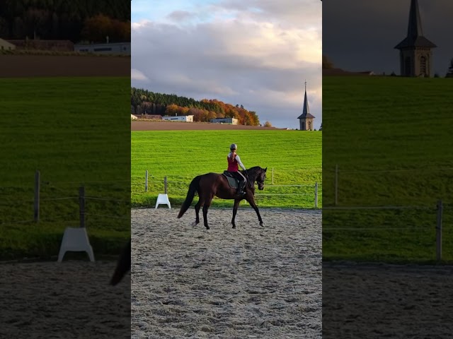 Place pour cheval dans petit coin de paradis, Arconciel