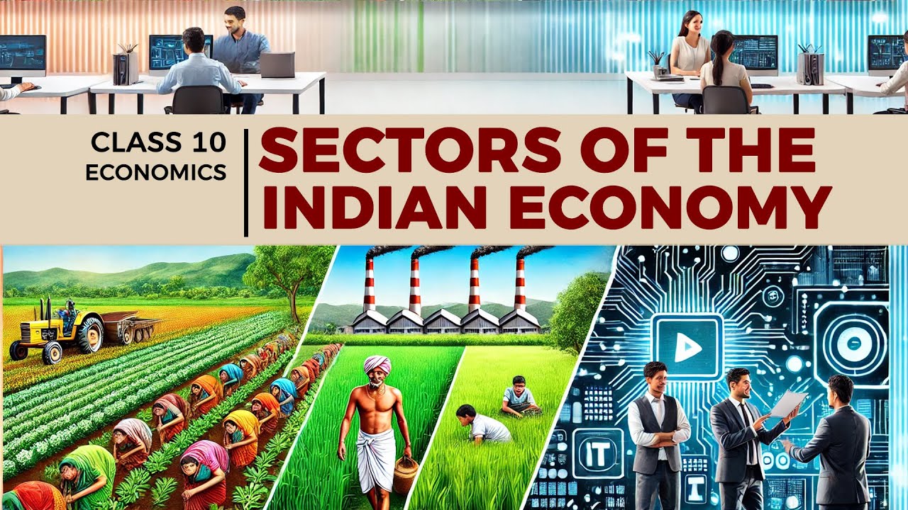 📚 Sectors of the Indian Economy | NCERT Class 10 🌾🏭💻