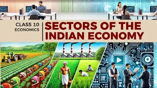 📚 Sectors of the Indian Economy | NCERT Class 10 🌾🏭💻
