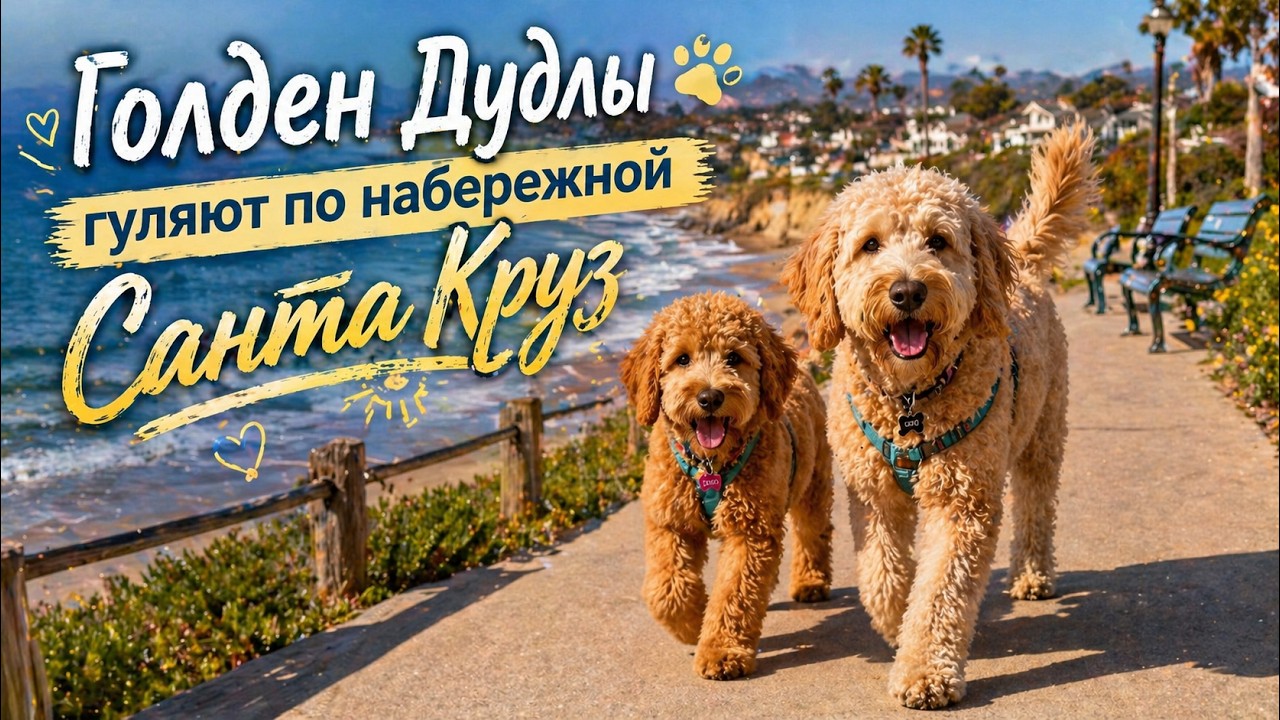 Завтра отгуляем, а сегодня мы едем на юг вдоль океана