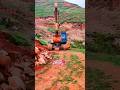 Greasing Bucket Jcbvideo Shorts Ytshorts Jcb BibekOP122